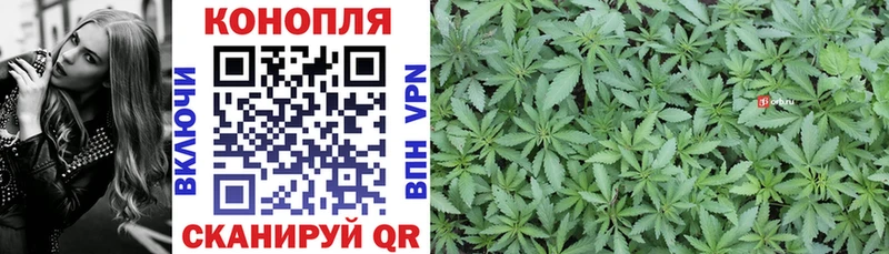 где найти наркотики  hydra рабочий сайт  Бошки марихуана MAZAR  Касимов 